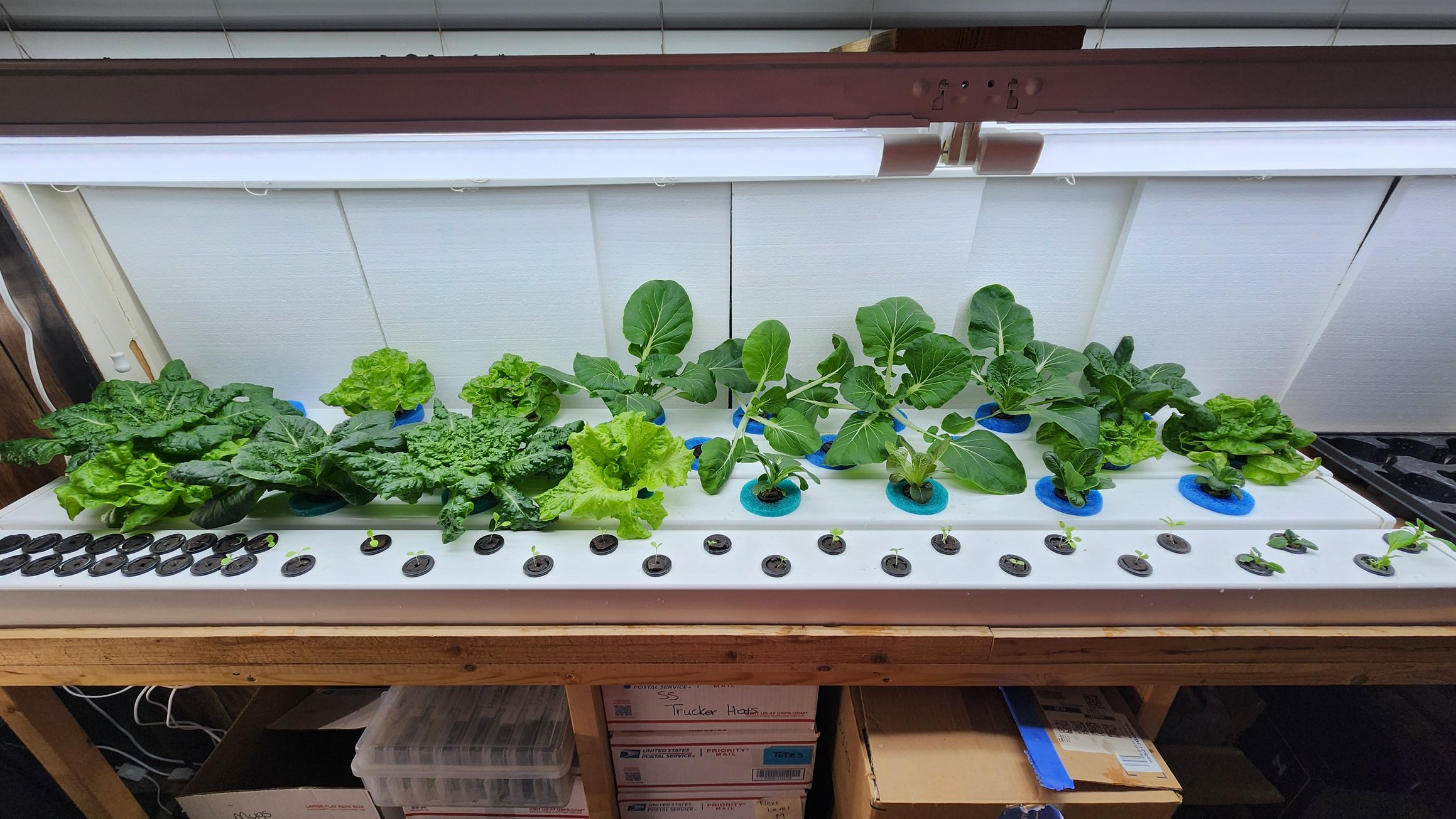 https://sunsetsanctuary.sunsetsanctuary.farm/stands/1/photos/photo10.jpg