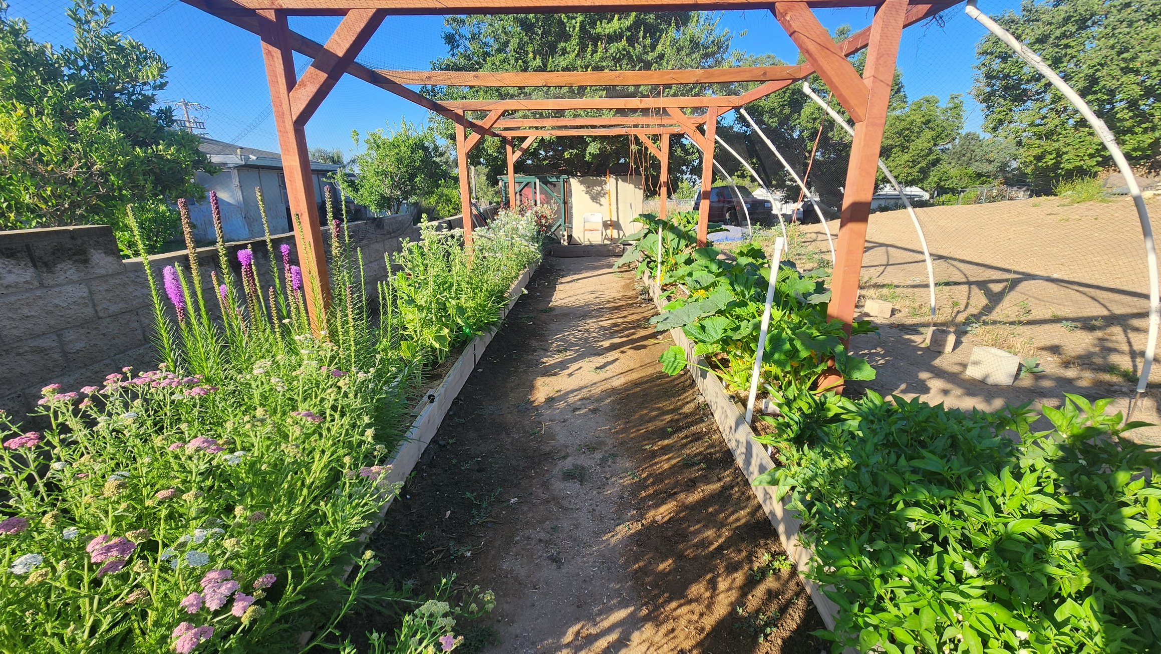 https://sunsetsanctuary.sunsetsanctuary.farm/stands/1/photos/photo5.jpg